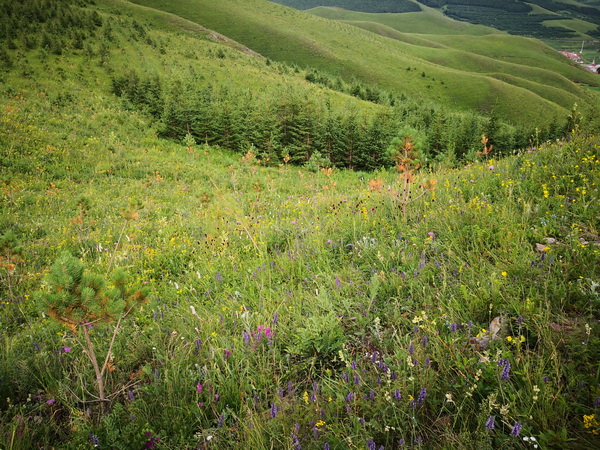 38 J9集团|国际站官网